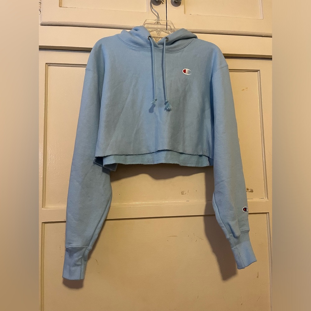 Champion cropped hoodie